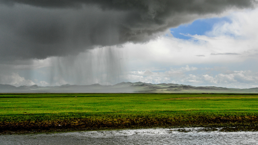 Photo of heavy rain over a grassland steppe