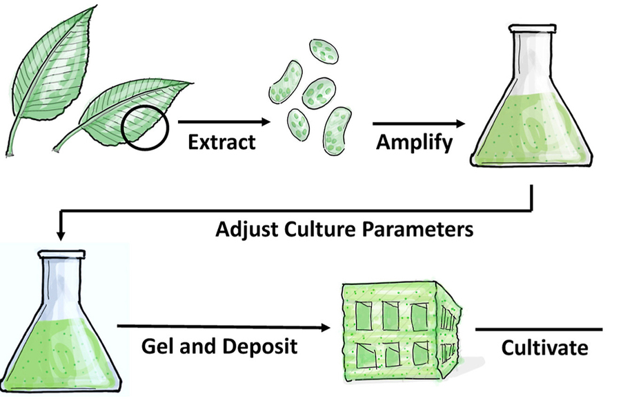 technology to grow plant-based materials