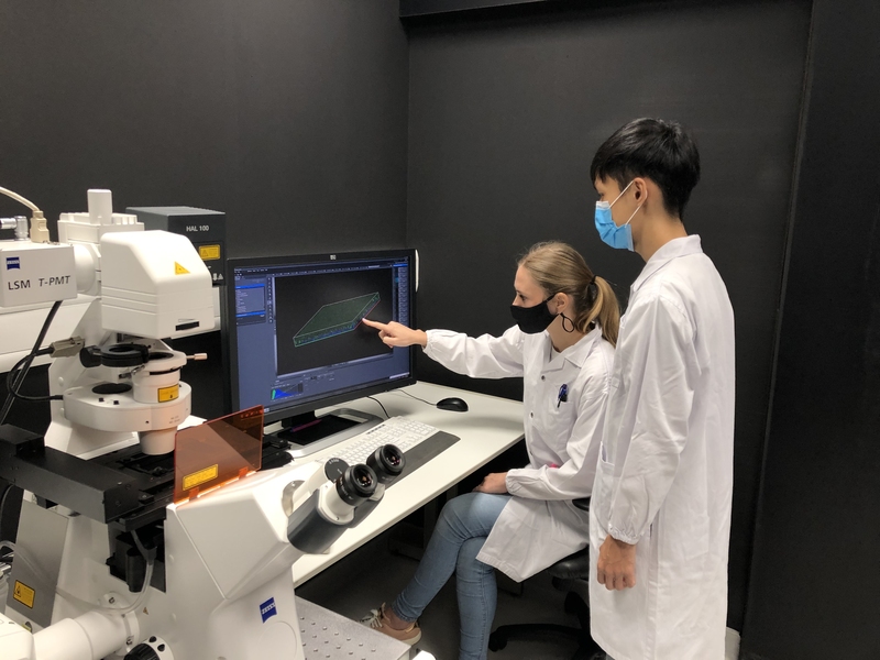 Photo of two masked individuals in lab coats discussing an image on a computer screen