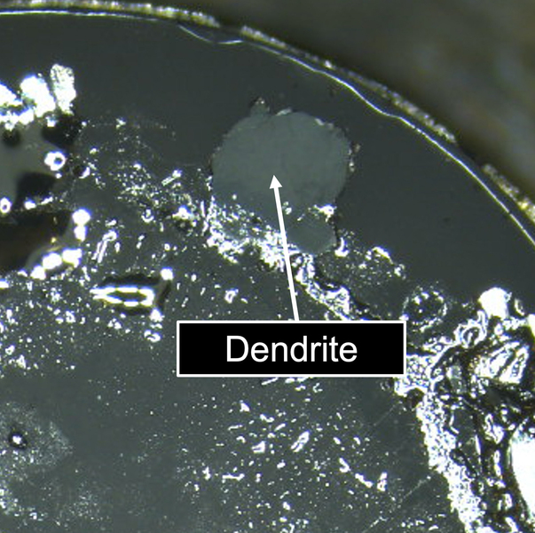 branch-like dendrite 