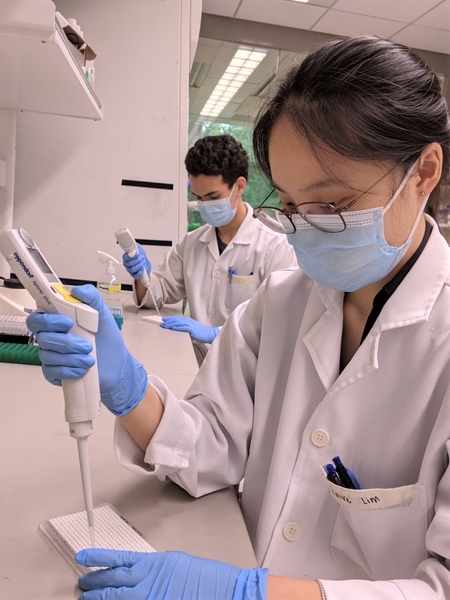 Photo of two researchers preparing a sample plate