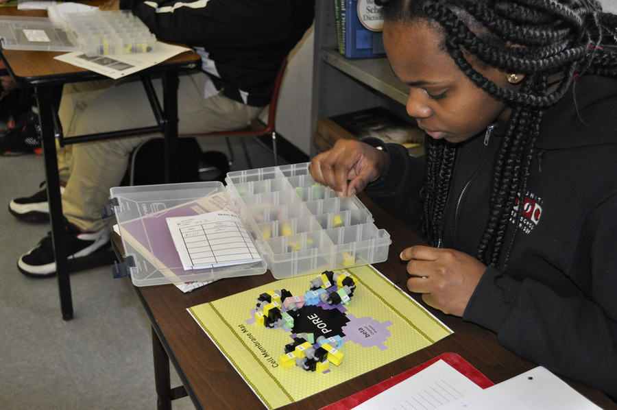 Photo of a student sitting at a desk, selecting plastic blocks that are inside a segmented plastic container, and adding them to her molecule model
