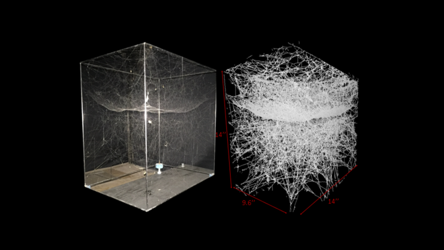 Black and white photo of a spiderweb in a clear cube next to a computer model of the web