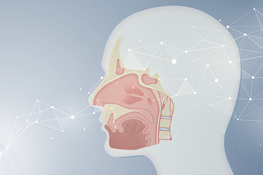 Cutaway graphic illustration of a human head feauring a network of lines and nodes superimposed over a detailed view of the tongue, nasal cavities, teeth, and nearby bones. The rest of the head is shaded to distinguish it from the background but otherwise not shown with any medical detail.