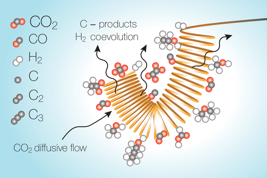 Illustration showing a slinky-like coil with clusters of spheres attached to the outside, representing atoms in various carbon molecules