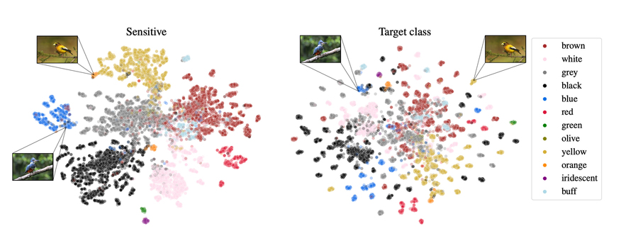 PARADE embeddings graph