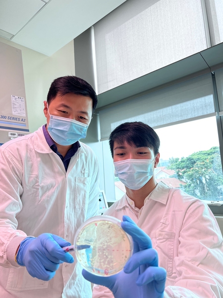 Photo of two fully gowned researchers examining a Petri dish in a lab, in front of a window with trees in the background