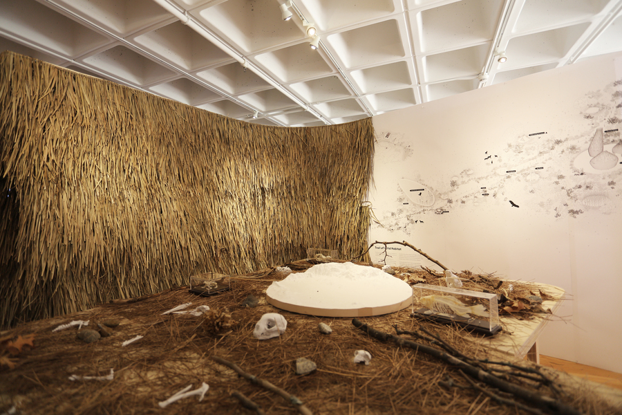 Photo of the interior of a shelter created by MIT students in the MIT Wiesner Student Art Gallery 