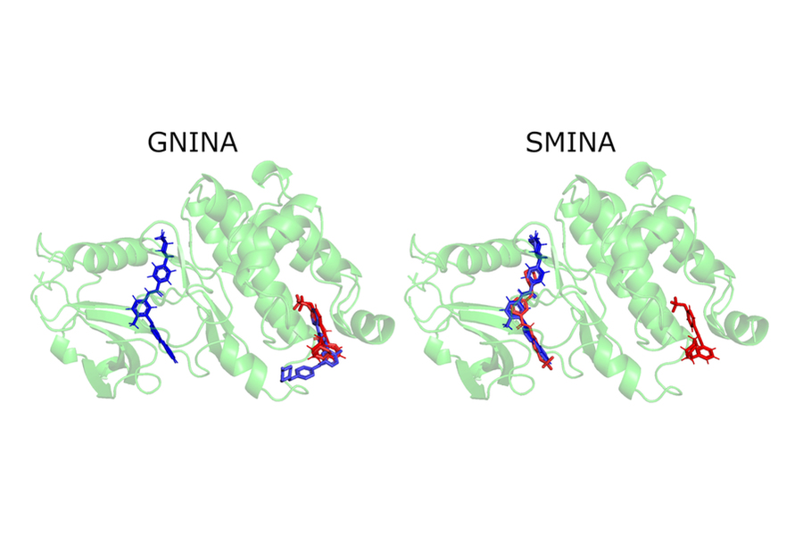 Side-by-side graphic illustrations of protein structures, which look like green bundles of coiled, helical material. Both also contain blue and red molecules superimposed, in slightly different positions. The protein at left is labeled GNINA and the one at right is SMINA. 