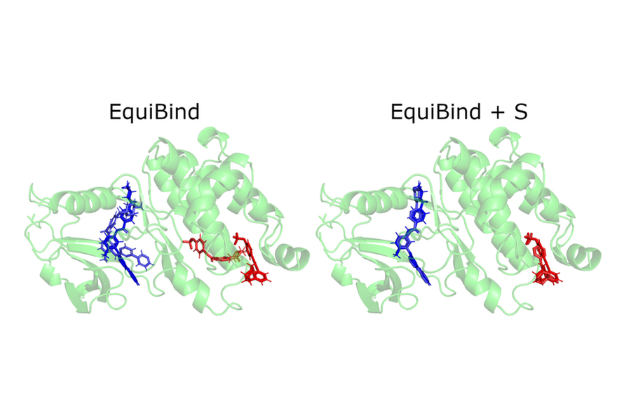 Side-by-side graphic illustrations of protein structures, which look like green bundles of coiled, helical material. Both also contain blue and red molecules superimposed, in slightly different positions. The protein at left is labeled EquiBind and the one at right is EquiBind +S. 