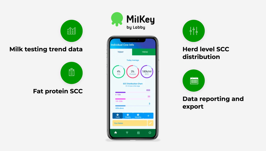Labby's platform on a mobile device
