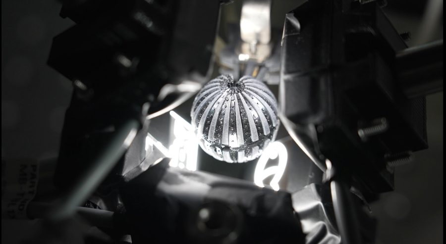 Close-up photo of an amphibious eye, which looks like a ribbed sphere 
