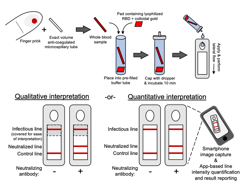 diagram showing how tests work