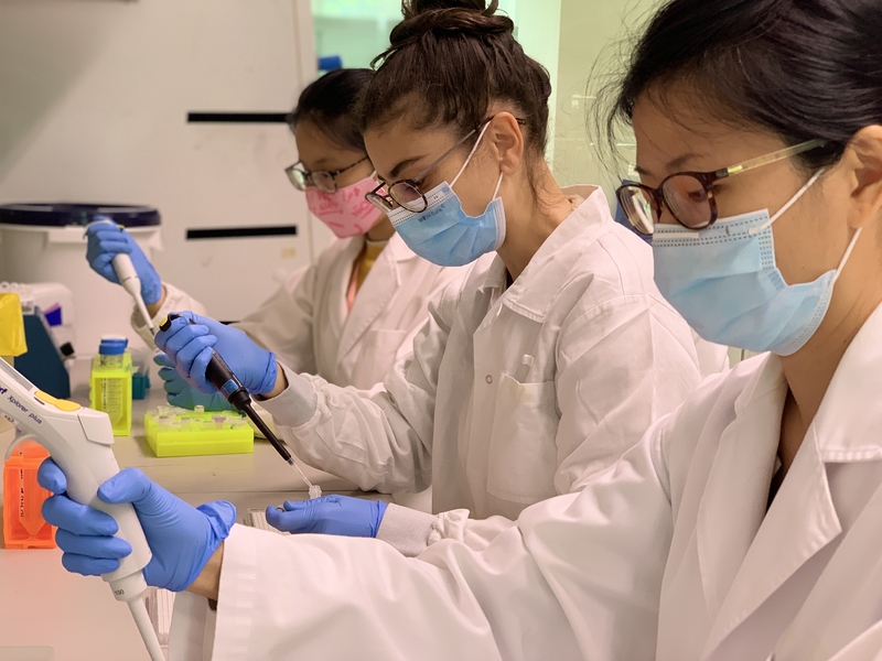 Photo of three SMART researchers wearing lab coats and face masks working at a lab bench.