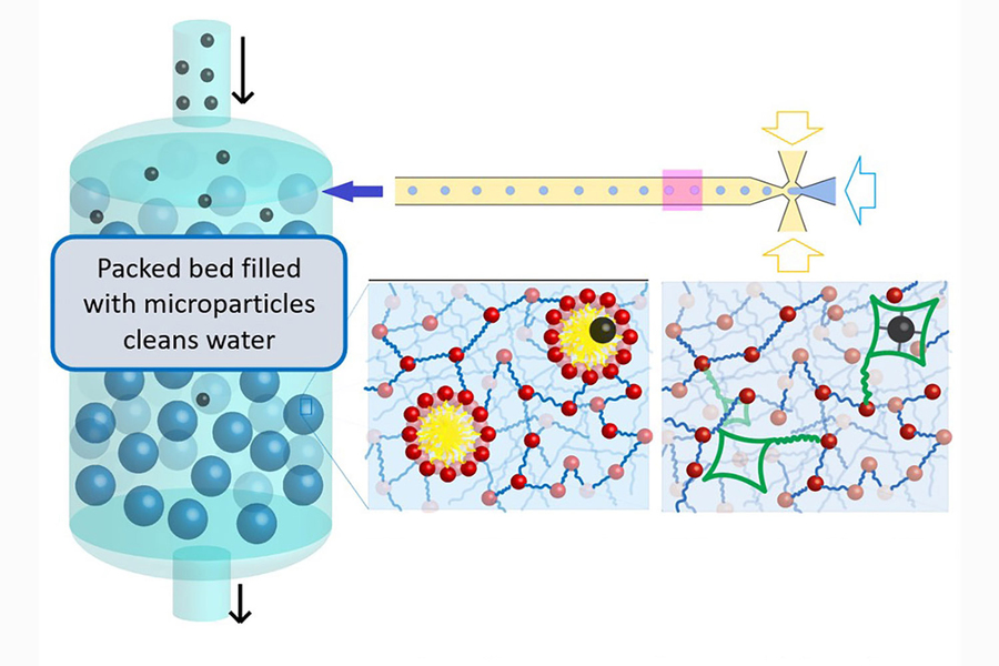 At left: A cyllindrical container with small blue spheres and even smaller black spheres, with the label, "Packed bed filled with microparticles cleans water." At right, three illustrations shows how microparticles interact with water and pollutants.