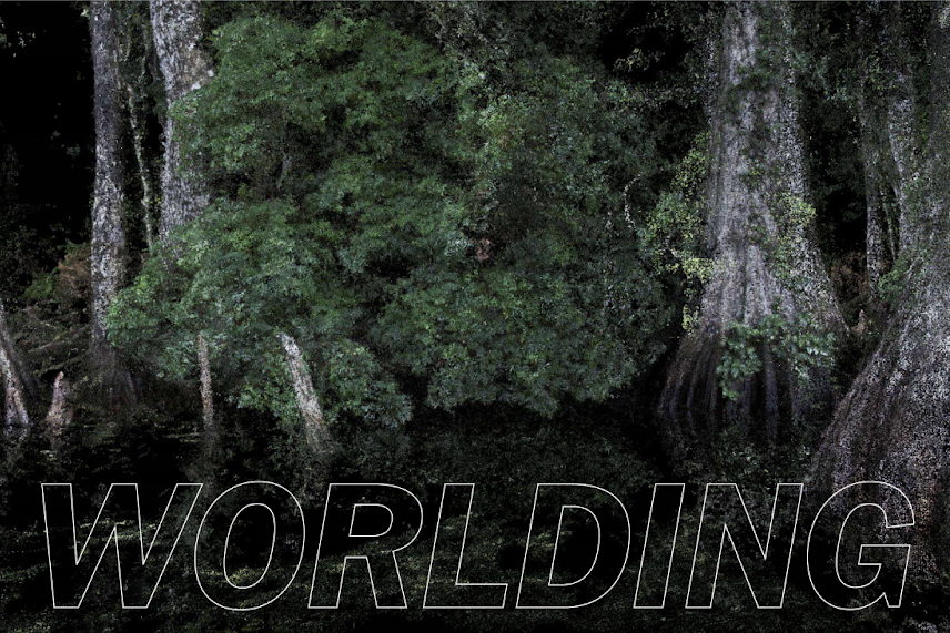 Several trees of different heights growing in water, with the word "WORLDING" beneath