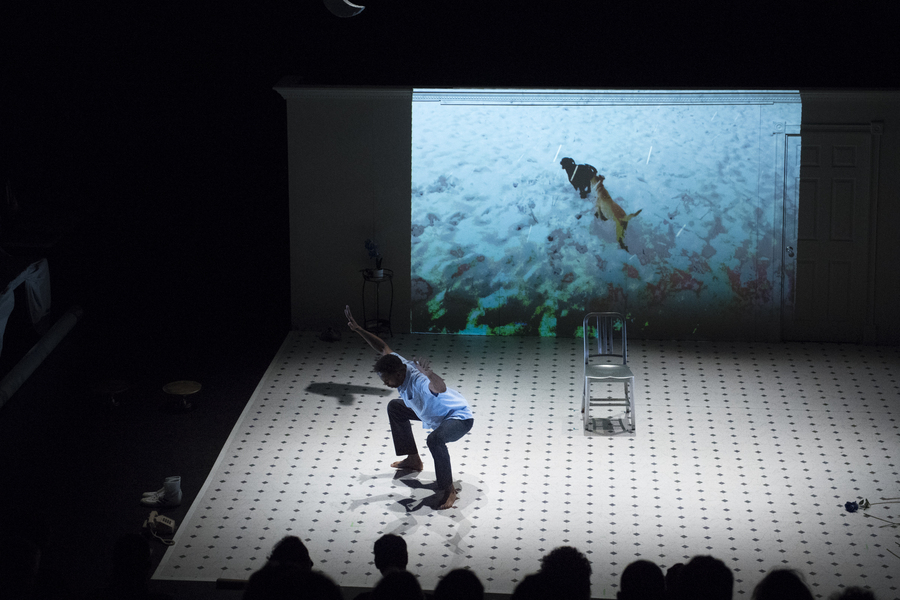 A man dances on stage. Behind him is a screen showing two dogs romping in the snow.
