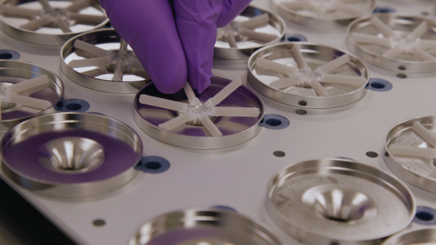 Close-up of two latex-gloved fingers placing a six-branch star-shaped object in a circular metal mold
