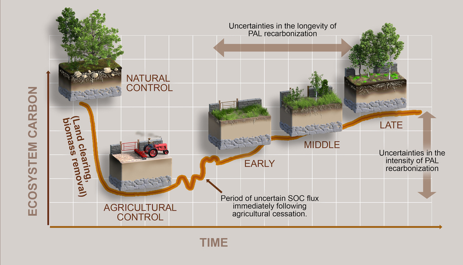 An illustration of a post-agricultural landscape trajectory of rebuilding ecosystem carbon stocks in early, middle and late stages of the cycle. 
