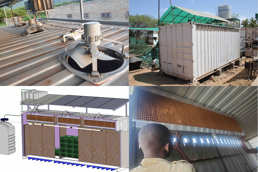 Two by two grid showing four views of a forced-air evaporative cooling chamber including fans in the roof, a complete exterior view, a man installing cellulose pads, and a CAD rendering of the chamber with doors open to reveal produce crates inside.