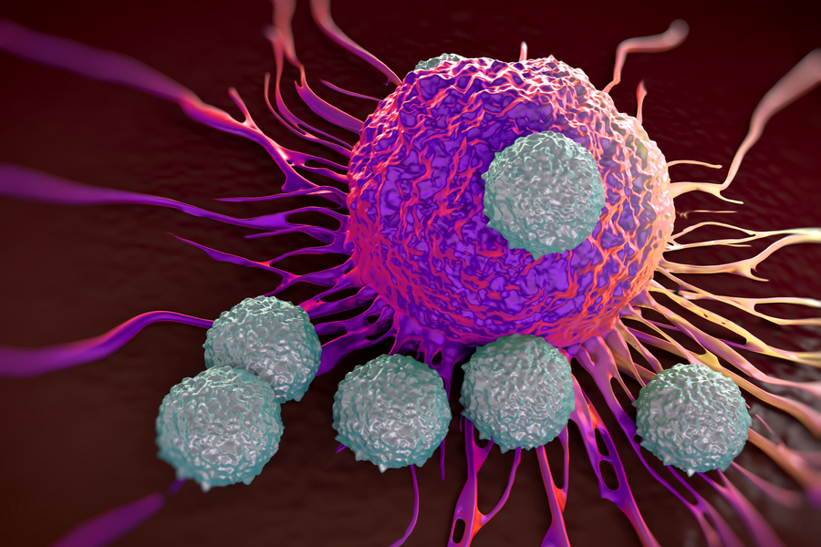 Pink illustration of grey T-cells attacking purple cancer cell