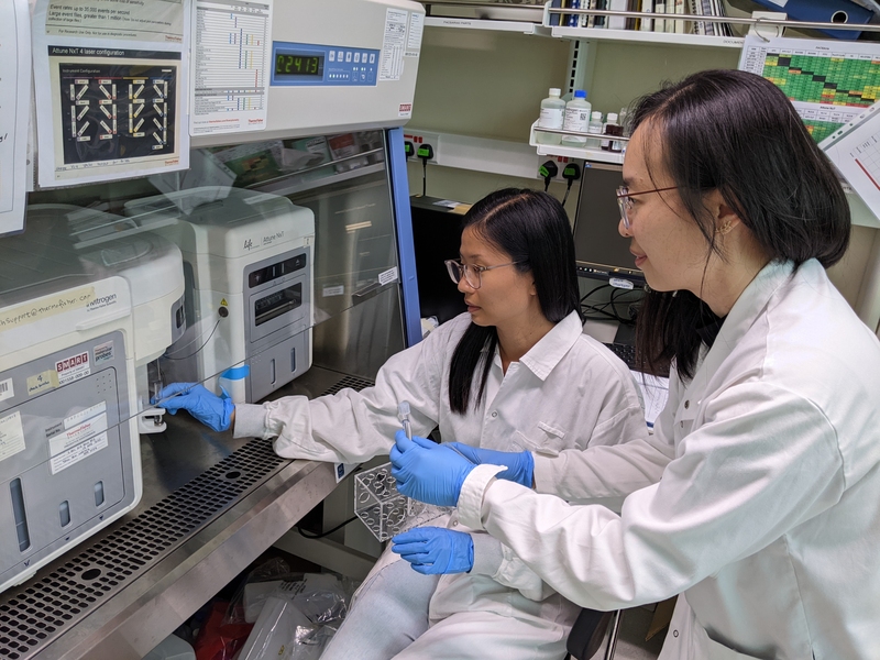 Wei Lin Lee and Peiying Ho, both in white lab coats, use a flow cytometer, a boxy piece of lab equipment, under a fume hood