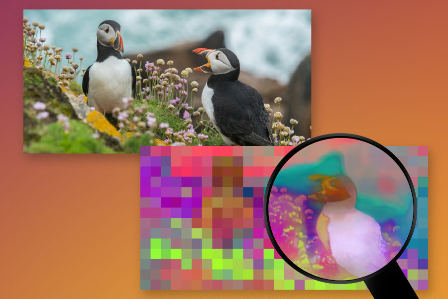 Photo illustration: At left, a photo of two puffins on a grassy cliff. At right is a heavily pixelated version of the photo, with a magnifying glass showing one of the puffins not pixelated but blurred. The pixelated/zoomed in area is in a mix of bright colors.