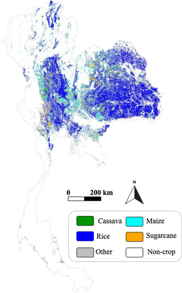 A map of Thailand shows areas of color, with most being dark blue representing rice. Maize is light blue, cassava is green, and sugarcane is orange.