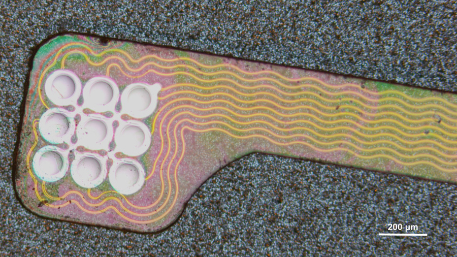 Microscopic image of a device that has a 3 by 3 grid of circular wells, and wavy connections along what looks like a tiny handle.
