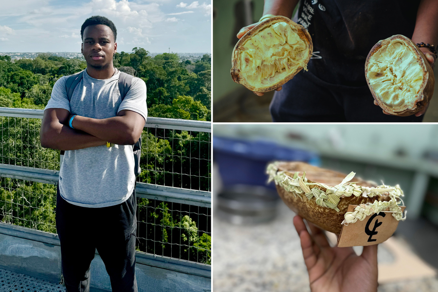 3 photos show: Andre Hamelberg outside; an open cupuaçu with white flesh; and a bowl made of the shell and grass-like fibers.