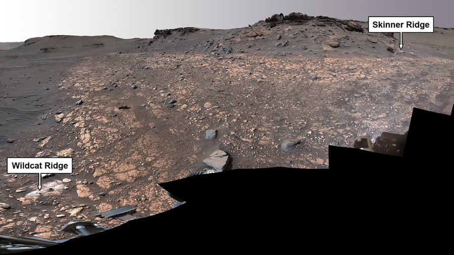 A vast rocky scene of Mars has two labels. On left is “Wildcat Ridge” and on right is “Skinner Ridge.”