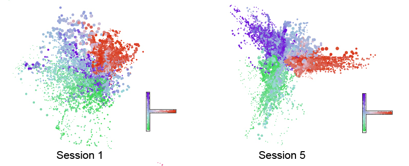 Two arrays of colorful dots sit side by side. The one on the left is in a vaguely circular shape. The one on the right has a structure that looks like a capital Y or T that has fallen to its left.
