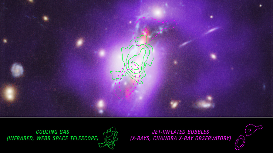 The Phoenix cluster of galaxies has green and purple overlays. The green overlay shows the “cooling gas” and the purple shows “jet-inflated bubbles.”