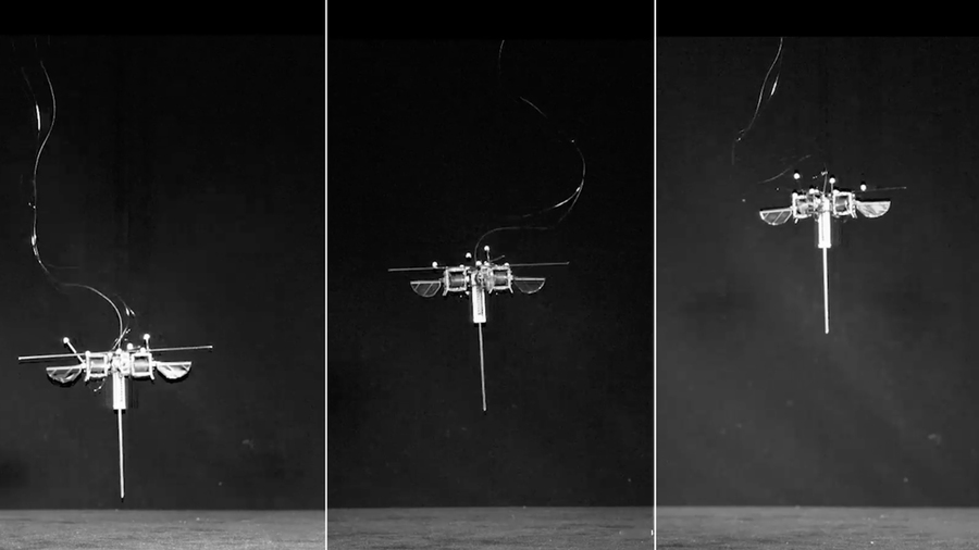 Three stages of an insect-size robot flying off the ground