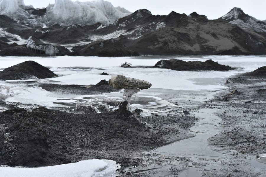 A marine sponge next to meltwater ponds