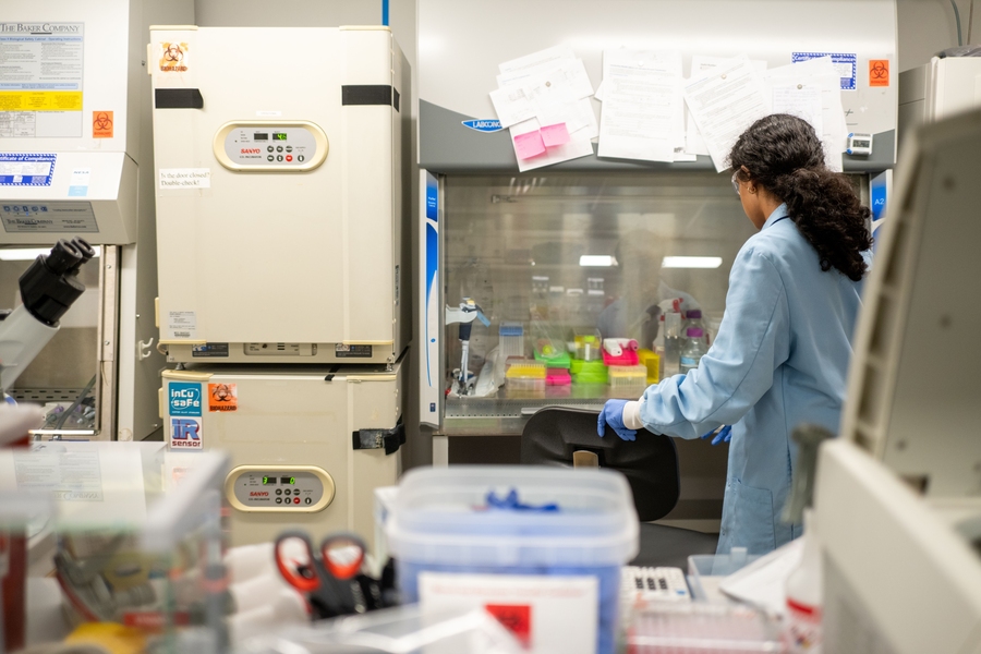 A researcher works in the lab. 