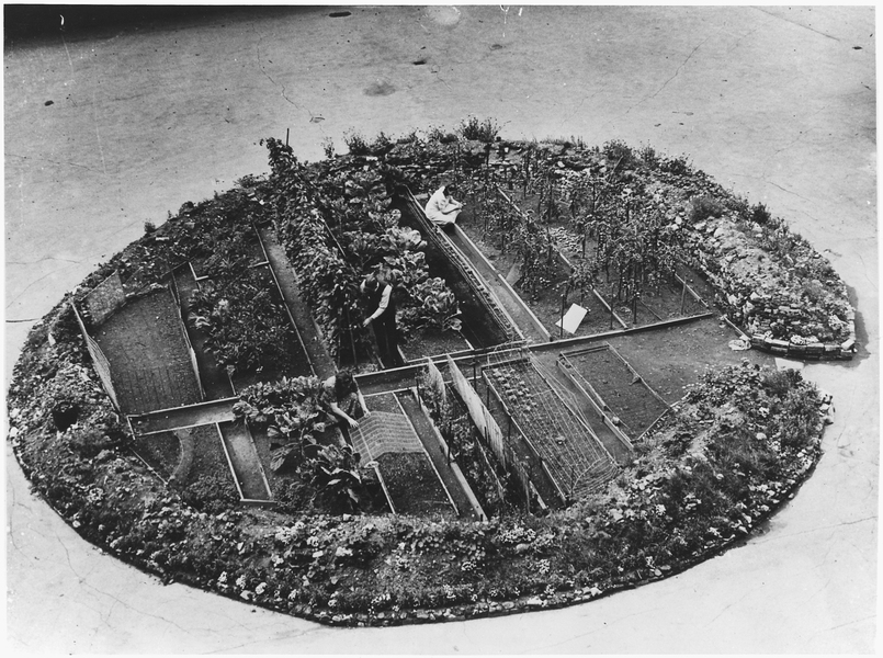 Londoners on garden patch in a tarmac parking lot, circa 1943