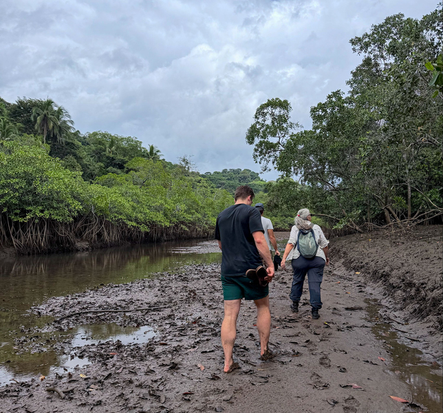 Three people, photographed from behind, walk on a muddy riverbank