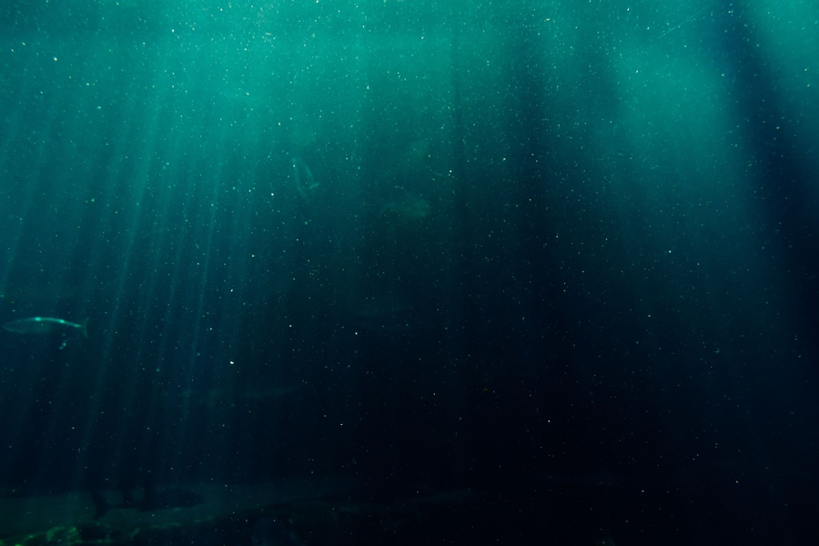 Underwater scene of a murky water column with sunlight rays penetrating the deep sea and a few fish barely visible.