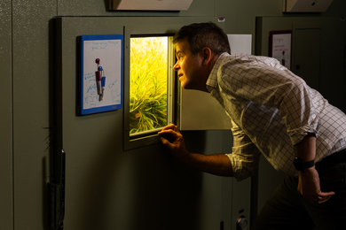 David Des Marais peers inside a small door in a large device. Inside are grass starts.