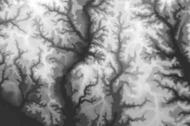 This digital elevation model from the U.S. Geological Survey shows a dendritic river in southern Mississippi.