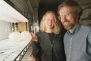 Professor of Biology Graham C. Walker (right) and postdoctoral fellow Kristin D. Levier show alfalfa they grew for research on bacteria that affect alfalfa and cause brucellosis.