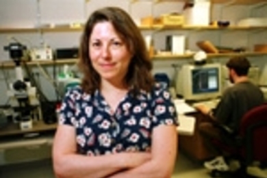 Elly Nedivi