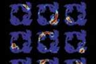 Animals have complex dreams and are able to retain and recall long sequences of events while they are asleep, MIT researchers reported for the first time in the January 25 issue of the journal Neuron.