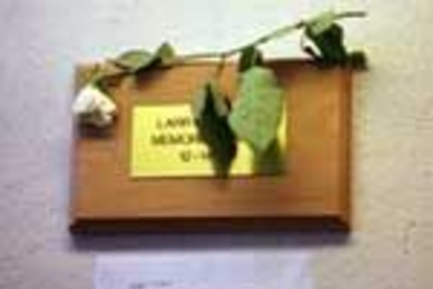 In the sixth-floor stairwell of Building E19, someone placed a plaque with a rose and newspaper death notice in memory of former groundskeeper Larry Pickard, who died on February 4.