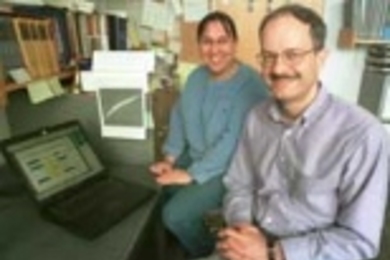Postdoctoral associate Heidi Tissenbaum and Professor of Biology Leonard P. Guarente survey data on their work with roundworms (an image of one hangs on the cabinet next to Dr. Tissenbaum) that lived 50 percent longer than usual.