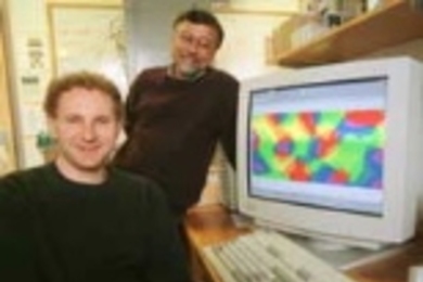 Valentin Dragoi, a postdoctoral fellow in brain and cognitive sciences, (seated) and Professor Mriganka Sur show an image of neural pinwheels on their computer monitor.