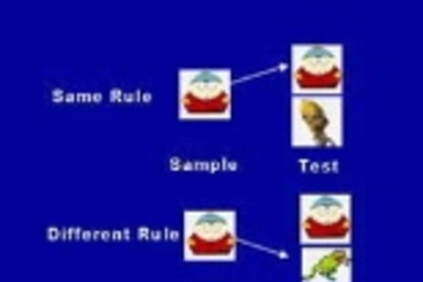 The monkeys in the MIT study learned two abstract concepts: If the "same" rule was cued, monkeys released a joystick if the images were the same; and if the "different" rule was cued, they released the joystick if the pictures were different. Monkeys could apply these rules to pictures they had never seen before. Many more brain cells in the prefrontal cortex were devoted to the rules -- same or d...