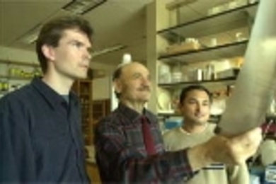 Research scientist Stefan W. Maas (left), Professor Alexander Rich and junior Jay Shrestha, another member of Rich's research team, examine data from their study on the link between RNA editing and brain tumors.