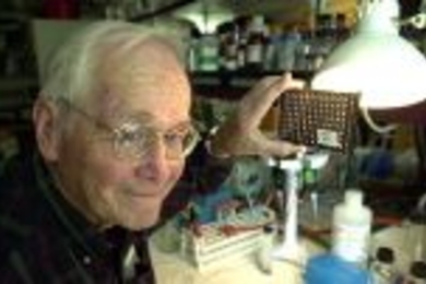 Professor Vernon Ingram holds up cell cultures that he and senior technical associate Barbara Blanchard have worked with during their research on the beta-amyloid plaques that attack the brains of Alzheimer's patients.
